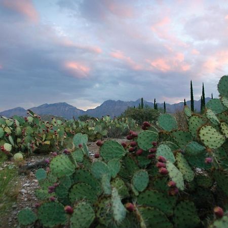 Canyon Ranch Tucson Mount Lemmont Eksteriør billede