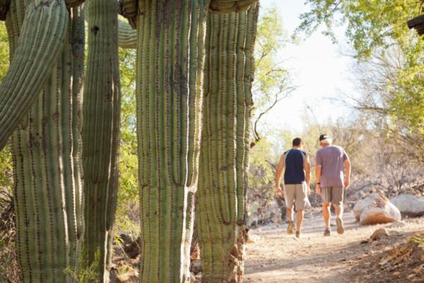 Canyon Ranch Tucson Mount Lemmont Eksteriør billede